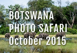 Botswanaphotosafari1