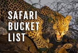 Bucketlistbutton