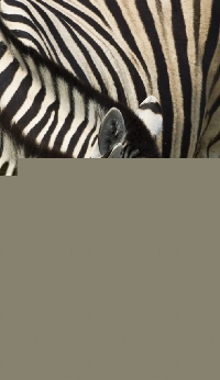 CC2011090900165