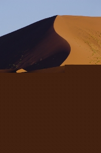 E3H0248a