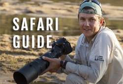 SafariGuideJamieThom