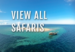 Viewallsafaris1